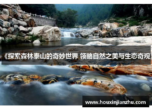 《探索森林泰山的奇妙世界 领略自然之美与生态奇观》