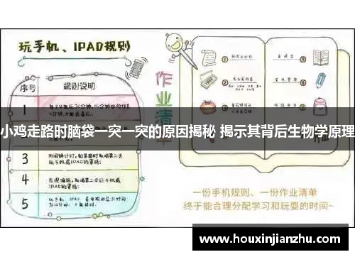 小鸡走路时脑袋一突一突的原因揭秘 揭示其背后生物学原理
