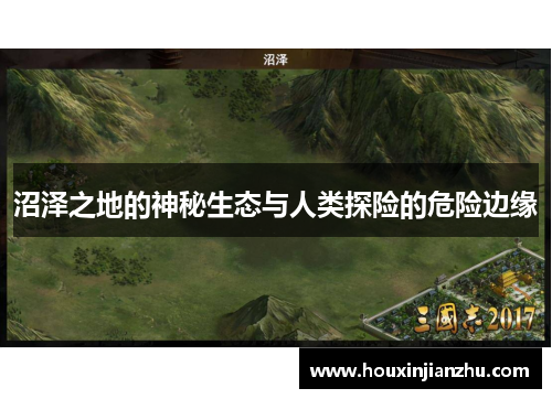 沼泽之地的神秘生态与人类探险的危险边缘